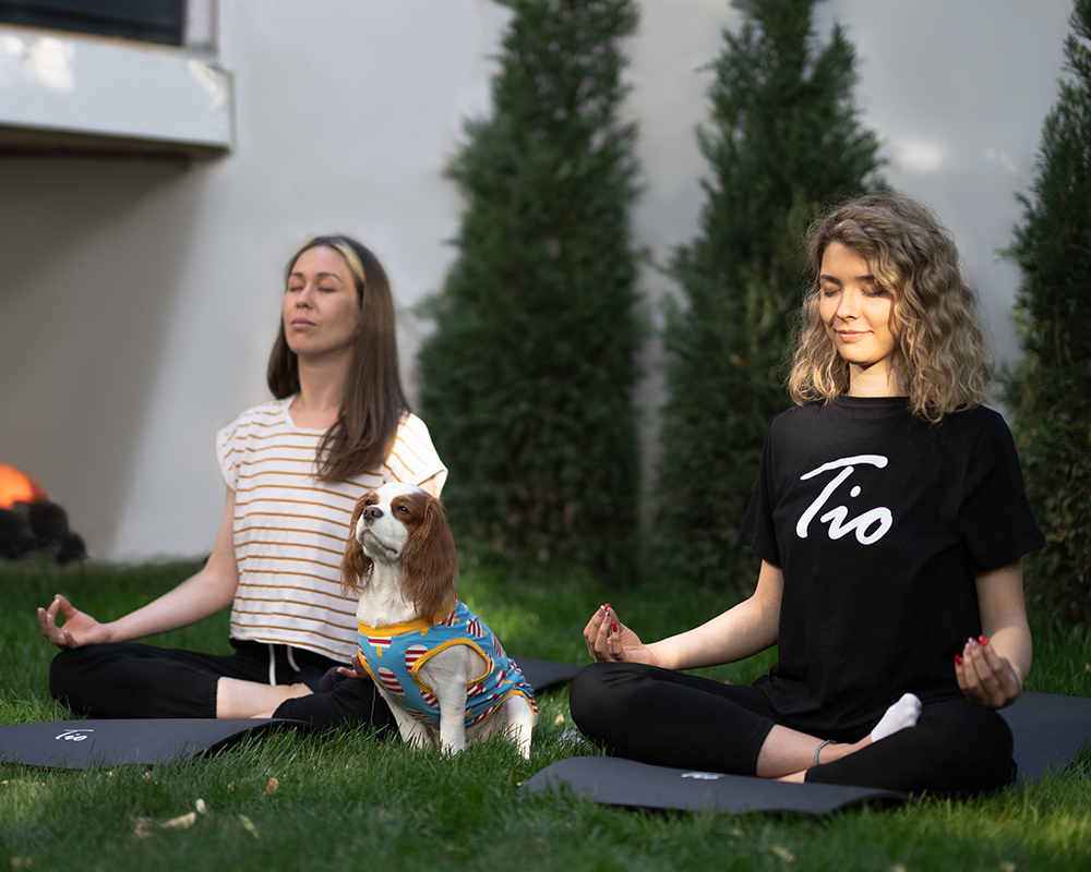 Yoga Nedir?